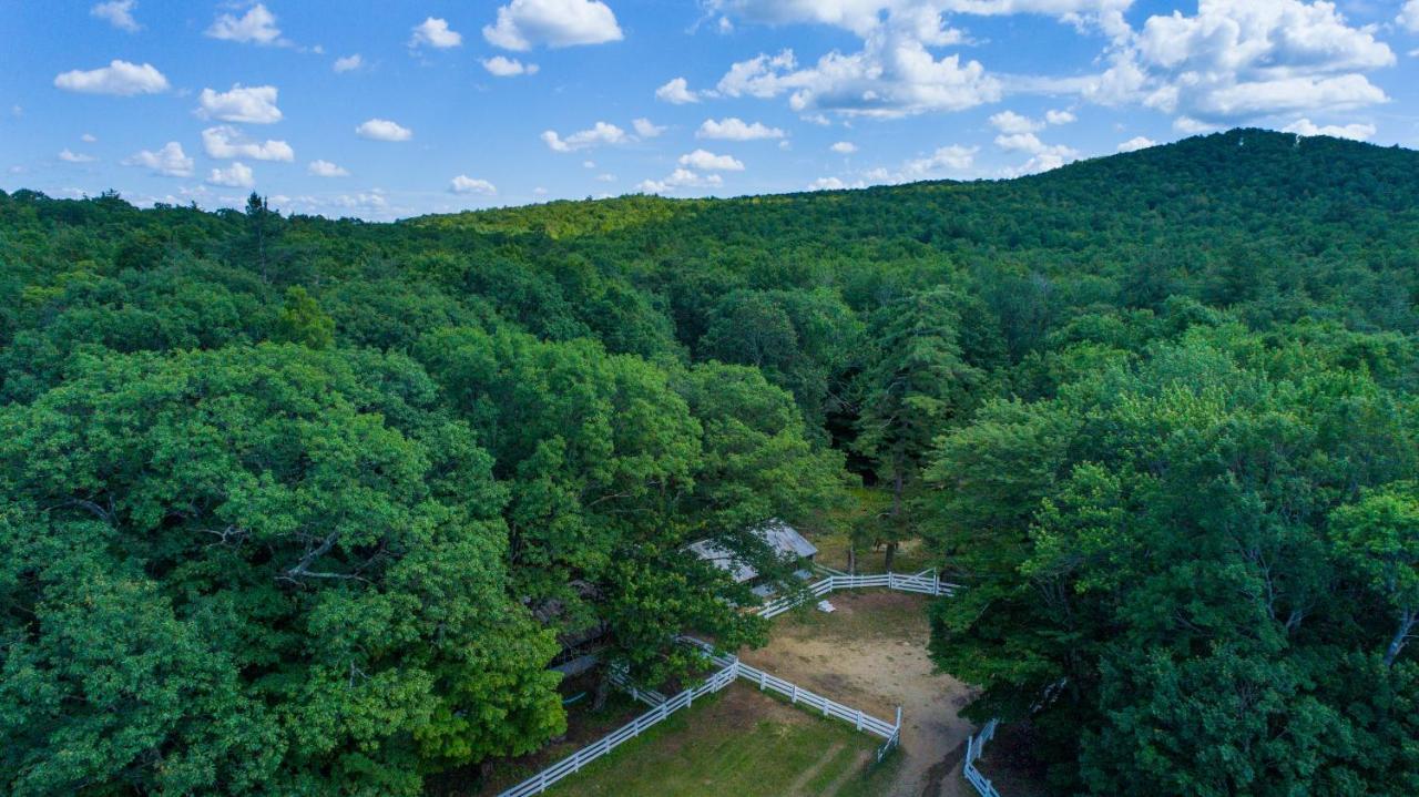Roaring Brook Ranch Resort بحيرة جورج المظهر الخارجي الصورة