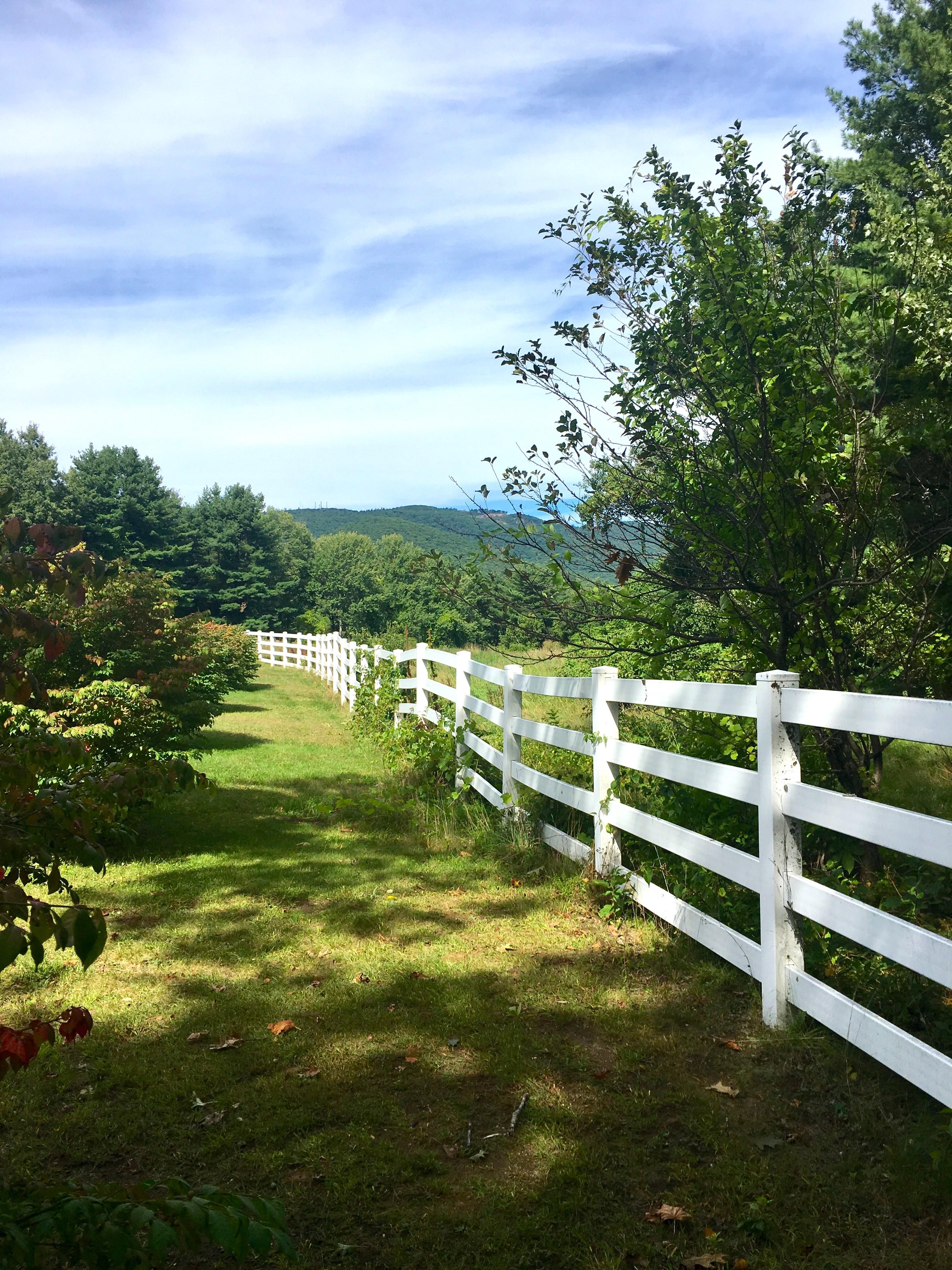 Roaring Brook Ranch Resort بحيرة جورج المظهر الخارجي الصورة